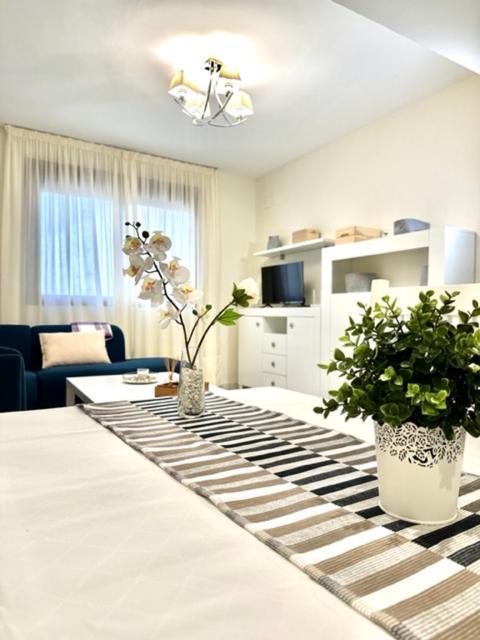 Apartamento Puerta Cerrada 埃希哈 外观 照片